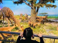 -国家自然博物馆