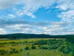 -塞罕坝国家级自然保护区