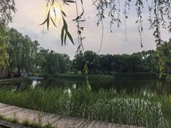 -圣露庄园·露营·烤肉·亲子