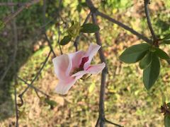 -广东花都湖国家湿地公园