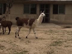 iphone_upload_pic-西安秦岭野生动物园