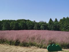 -同里国家湿地公园
