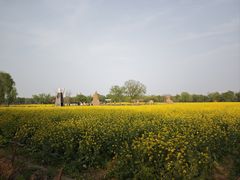 -长兴太湖图影湿地文化园