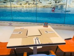 -帝企鹅自助餐厅•儿童岛•真企鹅(长隆企鹅酒店)