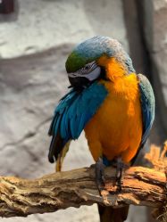 -Zoolung Zoolung动物主题公园(海信广场店)