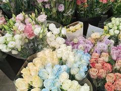 -宝鸡东道花鸟鱼虫市场(吉利花园商场店)