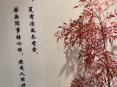 -小茶闲舍·观景商务茶馆(广州塔店)