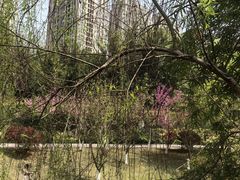 -沐仙湖湿地公园