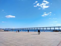 -星海湾跨海大桥