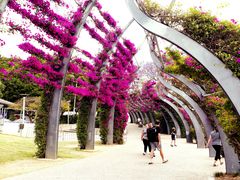 -布里斯班南岸公园