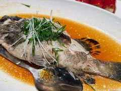 -陶陶居酒家(新天地店)