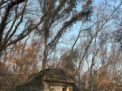 -赤山风景区