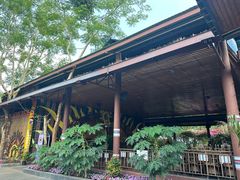 -西双版纳基诺山寨