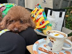 -COMPANION COFFEE小伴咖啡