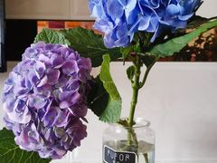 -青石桥花鸟鱼虫市场(叠翠城店)