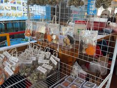 -蓝湾碧波·老字号·疍家非遗海上餐厅