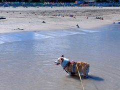 -东海半边山旅游度假区