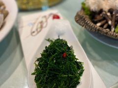 -洪湖家庭农场·团建·露营·会议