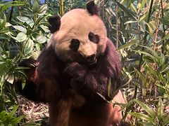 -陕西自然博物馆