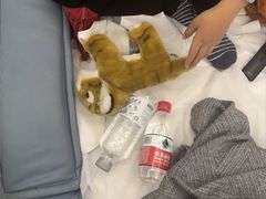 -华夏良子·足道SPA养生(上海崮山路明悦店)