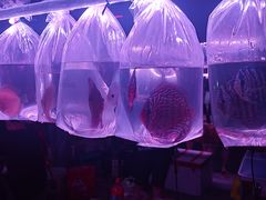 -华声天桥民俗文化园