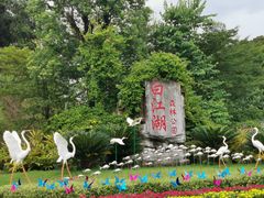 -广州白江湖森林公园