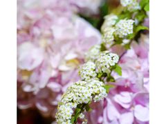-双季花艺园艺市场(浦东店)
