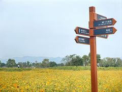 -良渚古城遗址公园