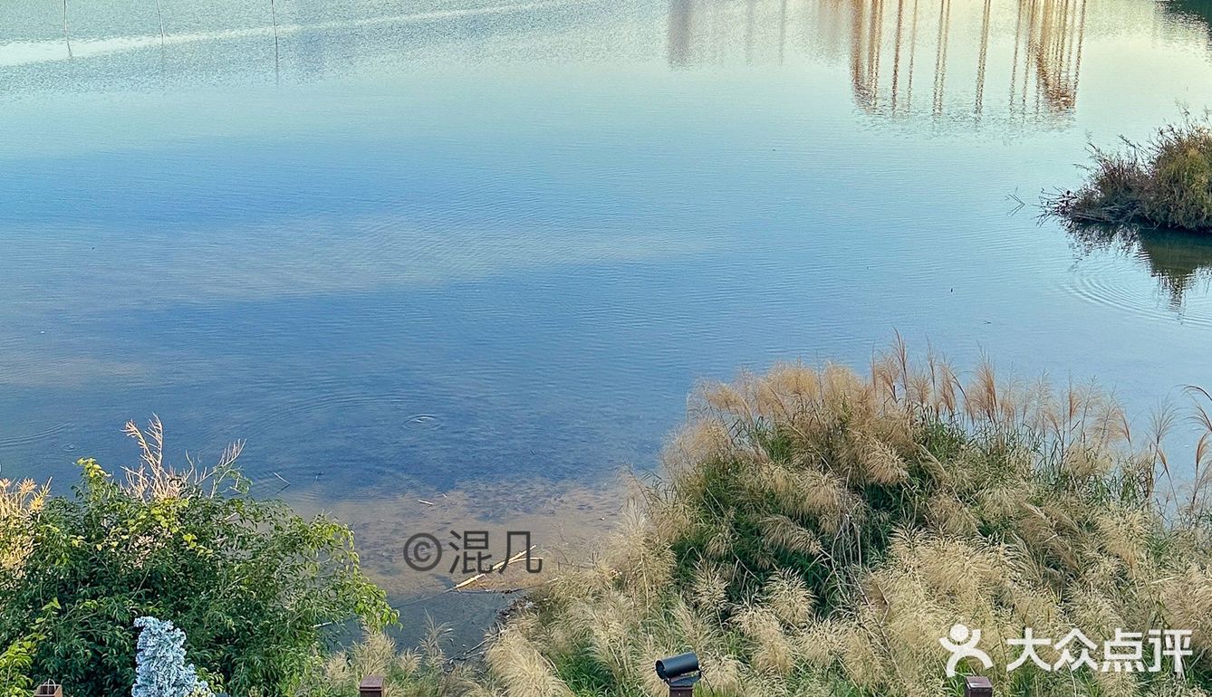 好爱深圳这种湖边的露营烤肉店了！！超惬意！！