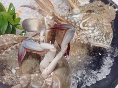 -阳光岛·海鲜盛宴(银泰中心in99店)