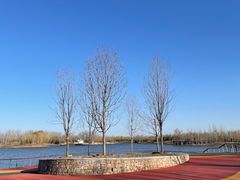 -东郊湿地公园