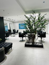-付军剪艺JF ProSalon