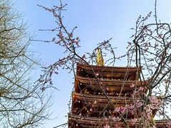 -浅草寺