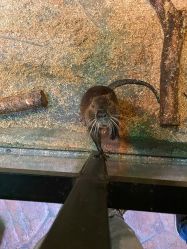 -酷嗒动物文化乐园(cutezoo西溪乐天城店)