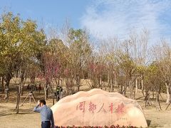 -牛岗山公园