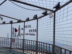 -青岛电视塔