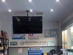 -伟伟宠物医院·瑞派猫友好医院·猫科(光谷店)