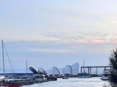 -青岛奥林匹克帆船中心