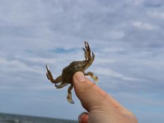 -青岛石老人海水浴场