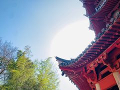 -阿育王寺