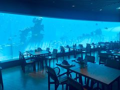 -海棠湾洲际-涛·海底餐厅·美人鱼·自助餐·海底隧道