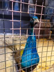 -酷嗒动物文化乐园(cutezoo西溪乐天城店)