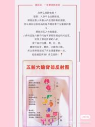 -香薇妮丝女子减肥院