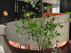 -新兴·金羊座·粤菜点心(乐峰店)