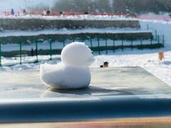 -太子岭滑雪场