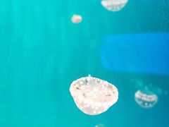 -多彩贵州城极地海洋世界