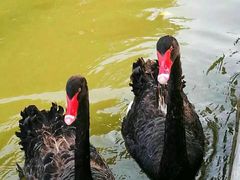 -花园桥(地铁站)