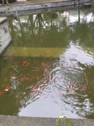 -莲生母婴月子中心(清水河公园店)