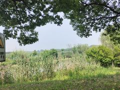 -南湖湿地公园