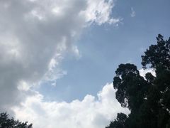 -凤栖山